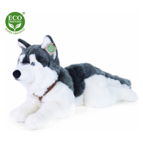 Eco-FriendlyRappa pes husky s obojkem ležící 60 cm