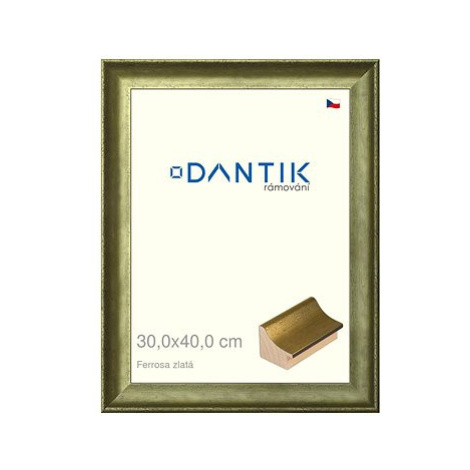 DANTIK rámeček 30 × 40, Ferrosa zlatý plexi čiré