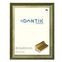 DANTIK rámeček 30 × 40, Ferrosa zlatý plexi čiré