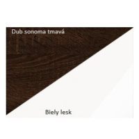 ArtCross Skříň MAX 05 Barva: dub sonoma tmavý / bílý lesk