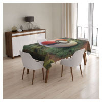 Sablio Ubrus Pokemon ball Les - 90x90 cm