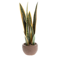 Umělá rostlina (výška 35 cm) – Dakls