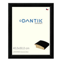 DANTIK rámeček 40 × 50, LEDVINKA černý plexi čiré