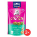 Vitakraft Cat pochoutka Crispy Crunch dental 3 × 60 g