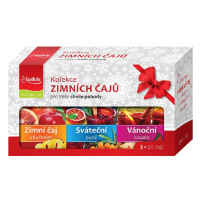 Apotheke Kolekce Zimních čajů 3x20 sáčků + dárek