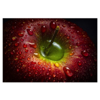Umělecká fotografie Red Apple, Aida Ianeva, (40 x 26.7 cm)