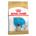 Royal Canin Pug Puppy - 1,5 kg