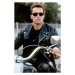 Fotografie Terminator 2 : Judgment Day, 26.7 × 40 cm