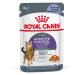 Royal Canin Appetite Control Care v želé - 12 x 85 g