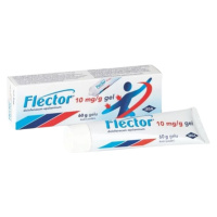 Flector 60 g