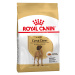 Royal Canin Great Dane Adult - Výhodné balení 2 x 12 kg