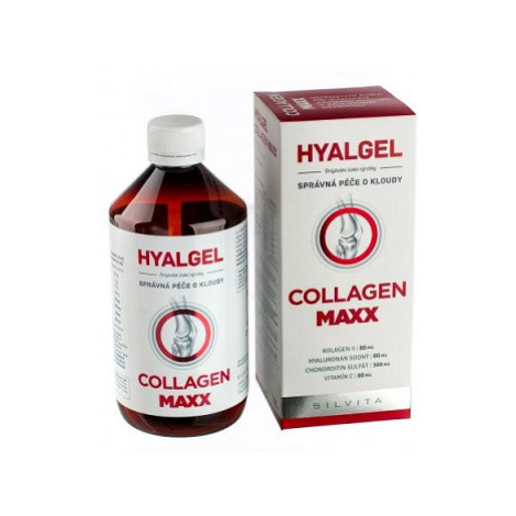 Silvita Hyalgel Collagen MAXX 500 ml