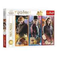 Puzzle Ve světě magie a čarodějnictví/Harry Potter 200 dílků