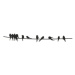Dekorace na zeď kovová ptáci na drátě černá 60cm