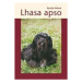 Lhasa apso