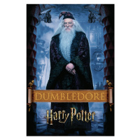 Umělecký tisk Harry Potter - Dumbledore, 26.7 × 40 cm