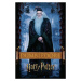 Umělecký tisk Harry Potter - Dumbledore, 26.7 × 40 cm