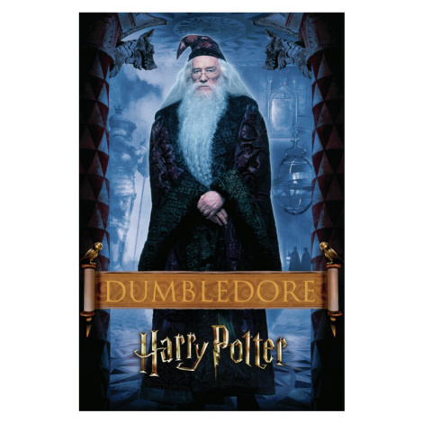Umělecký tisk Harry Potter - Dumbledore, 26.7x40 cm