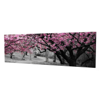 Wallity Obraz na plátně Cherry tree alley PC017 30x80 cm