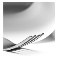 Fotografie A fork in an abstract composition, Frank Grittke, (30 x 40 cm)