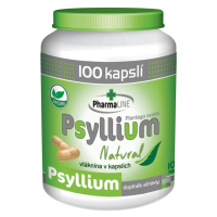 Mogador Psyllium Natural 100 kapslí