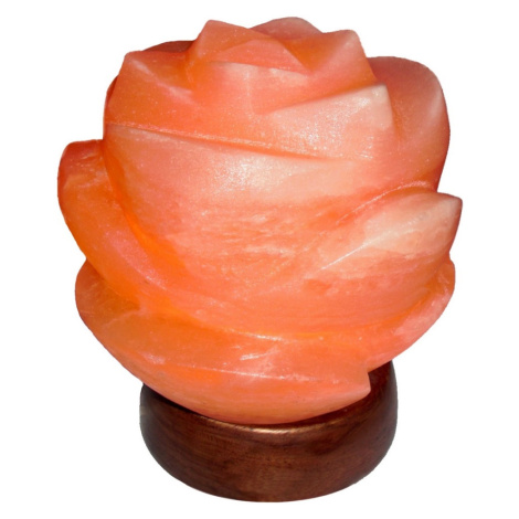 Rabalux 2676 - Solná lampa FLORES 1xE14/15W/230V 2676