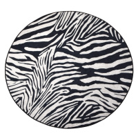 Conceptum Hypnose Kulatý koberec Zebra 140 cm bílý/černý