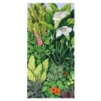 Abel, Catherine - Obrazová reprodukce Foliage I, 2003, (20 x 40 cm)