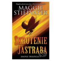 Skrotenie jastraba (Magické pokračovanie série o Havraních chlapcoch!) - kniha z kategorie Belet