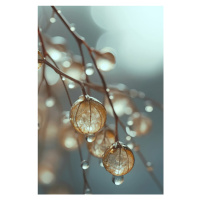 Fotografie Tiny Glass Berries No 2, Treechild, 26.7 × 40 cm