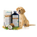 Arava Pet Spa Šampon hypoalergenní pro dospělé psy a štěňata