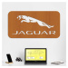Dřevěný obraz - Logo auta Jaguar