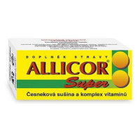 Naturvita Allicor Super česnek+vitamin.tbl.60