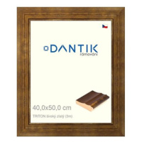 DANTIK rámeček 40 × 50, TRITON široký zlatý sklo čiré