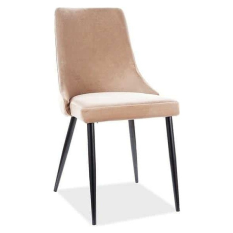 Casarredo Jídelní čalouněná židle NOPI velvet béžová/černá mat