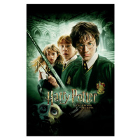 Umělecký tisk Harry Potter - Tajemná komnata, 26.7 × 40 cm