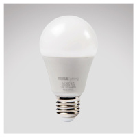 LED žárovka Bulb 12W E27 4000K