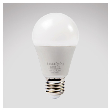 LED žárovka Bulb 12W E27 4000K Tesla