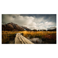 Fotografie Autumn Bridge, Jie Jin, (40 x 22.5 cm)