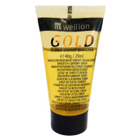 Wellion Gold Tekutý Cukr V Tubě 40g