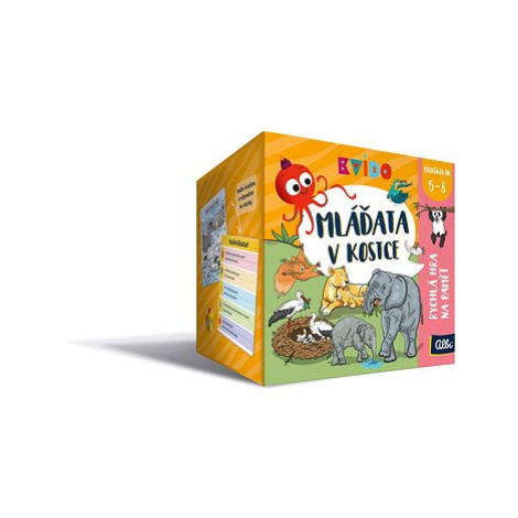 Kvído - Mláďata v kostce Albi