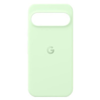 Google Pixel 9 / 9 Pro Case Wintergreen