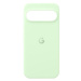 Google Pixel 9 / 9 Pro Case Wintergreen