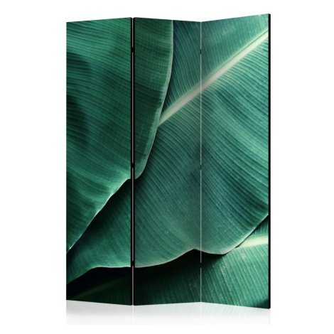 Paraván Banana Leaf Dekorhome Artgeist