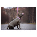 Vsepropejska Furio růžový obojek pro psa Typ: Obojek, Velikost: Obvod krku 46 - 75 cm