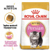 Royal Canin Persian Kitten - granule pro koťata perských koček 2 kg