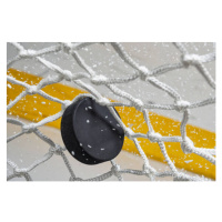 Fotografie Close-up of an Ice Hockey puck, cmannphoto, 40 × 26.7 cm