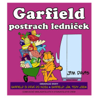 Garfield postrach ledniček