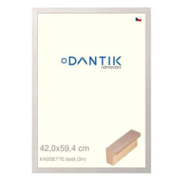 DANTIK rámeček 42 × 59,4, KASSETTE šedý 3055 plexi čiré