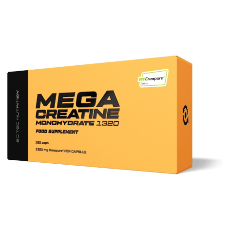 Scitec Nutrition Mega Creatine Monohydrate 1320 mg 120 cps